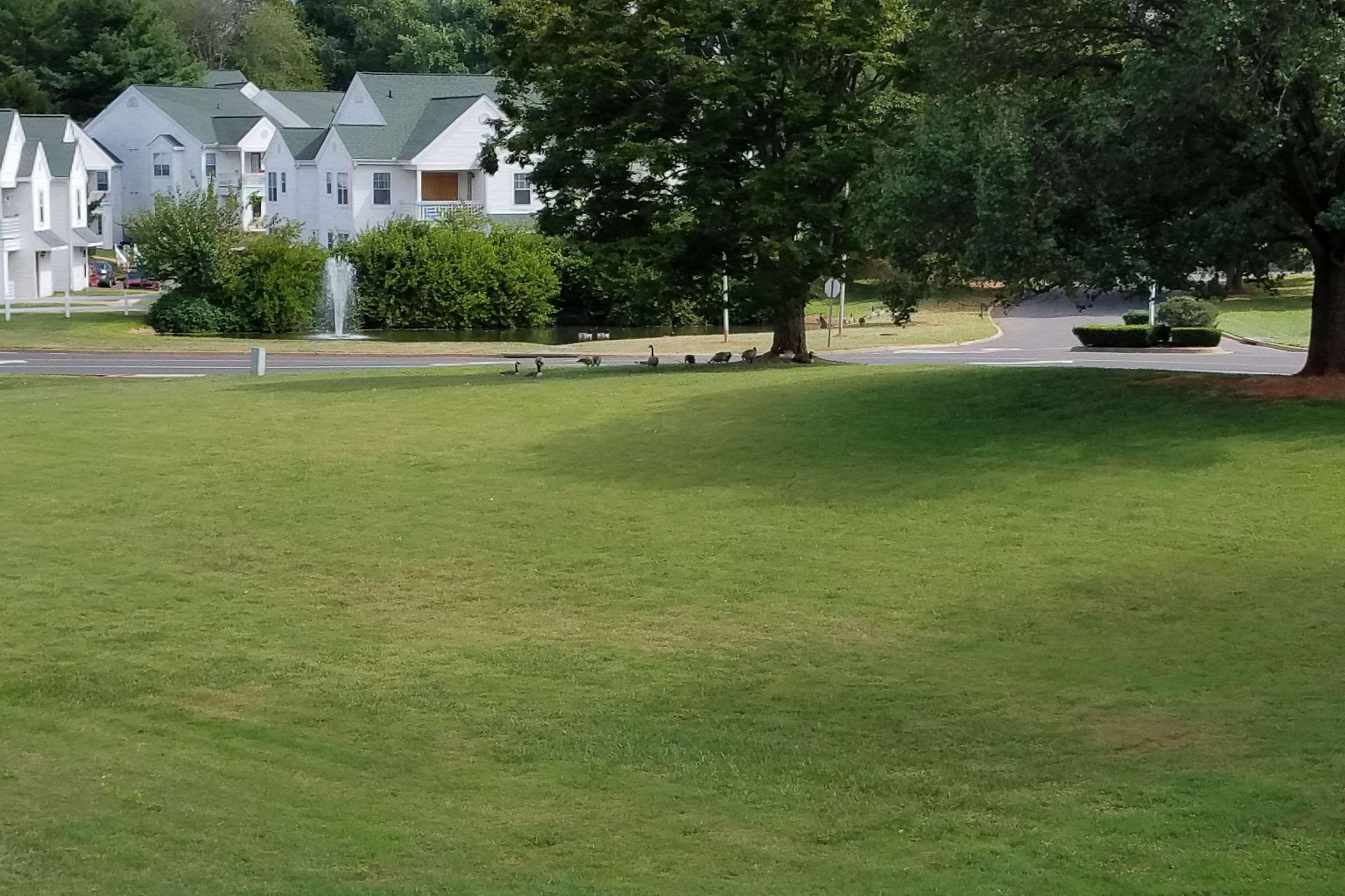 Quality Inn Culpeper Exterior photo